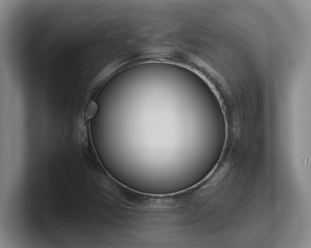 X0000102271354200807251341