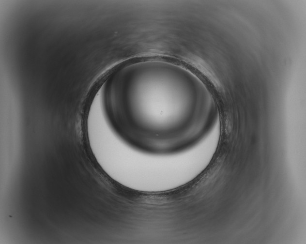 X0000102271356200807251341