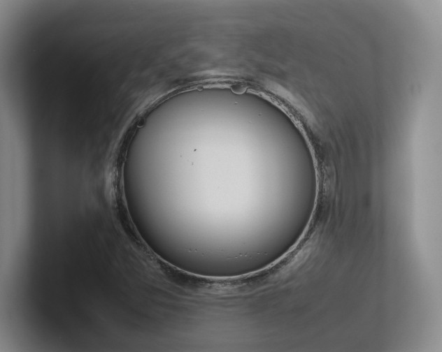 X0000102271357200807251341