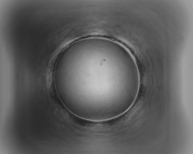 X0000102271359200807251341