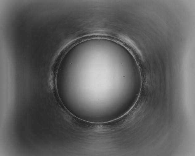 X0000102271360200807251341