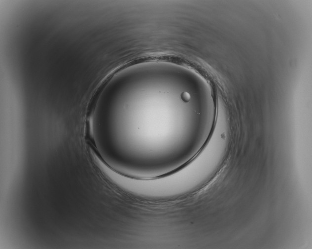 X0000102271361200807251341