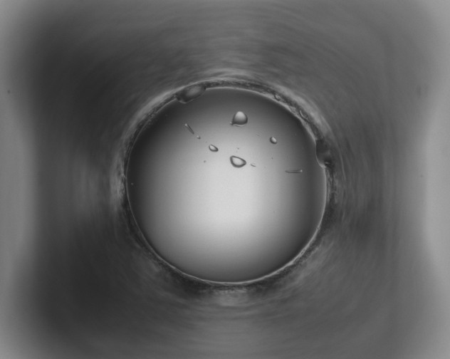 X0000102271363200807251341