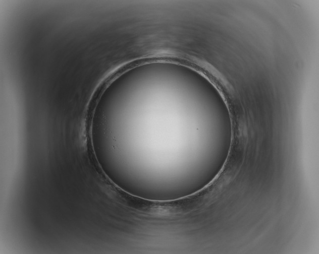 X0000102271364200807251341