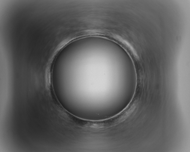 X0000102271365200807251341
