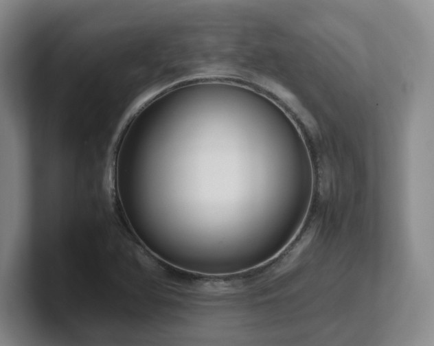 X0000102271366200807251341