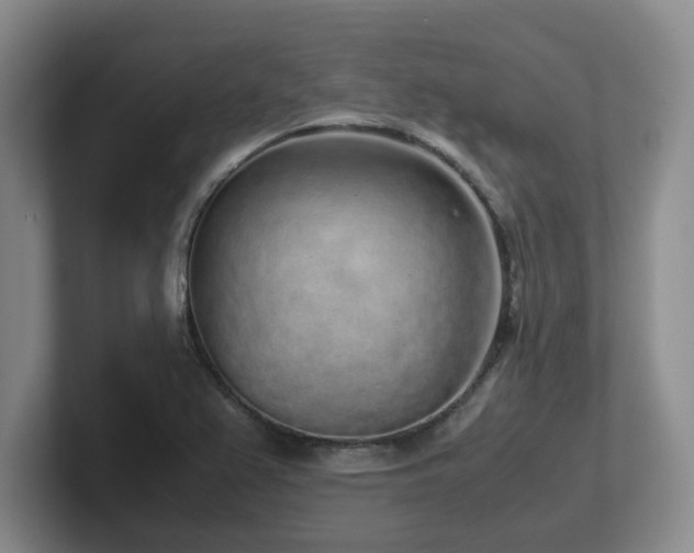 X0000102271367200807251341