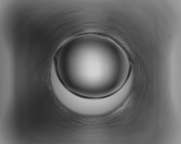 X0000102271369200807251341