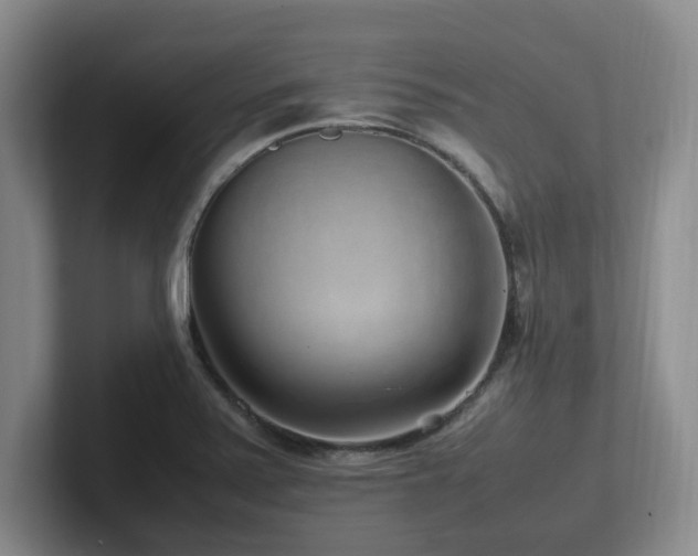 X0000102271371200807251341