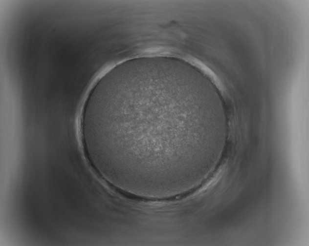 X0000102271373200807251341