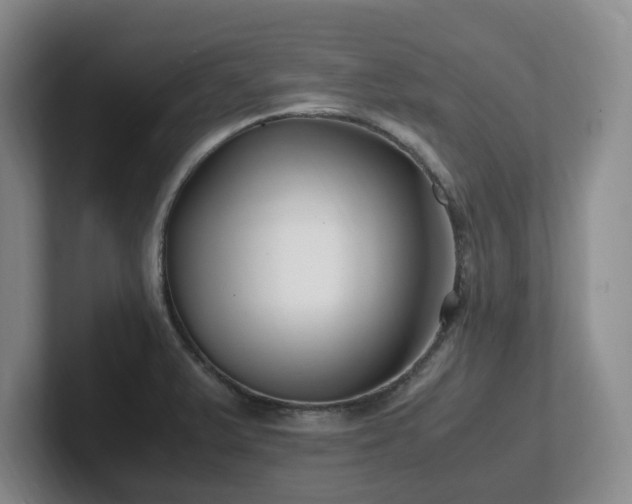 X0000102271375200807251341