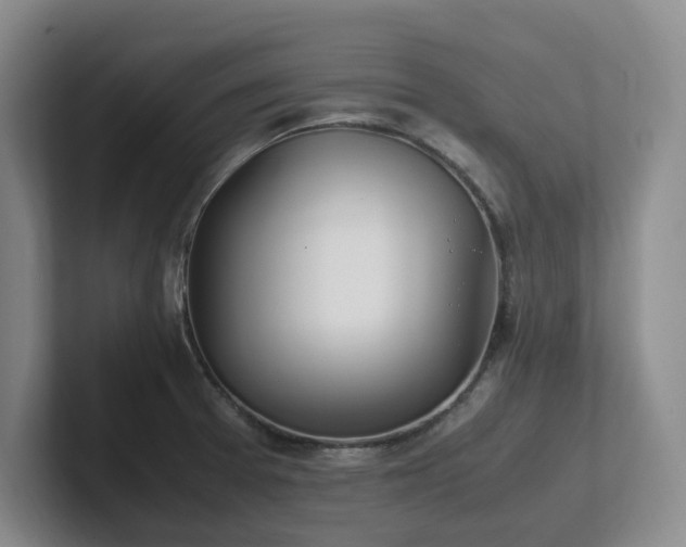 X0000102271377200807251341