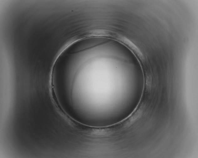 X0000102271378200807251341