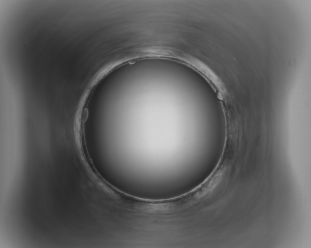 X0000102271381200807251341