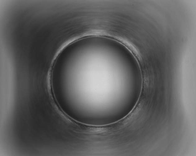 X0000102271382200807251341