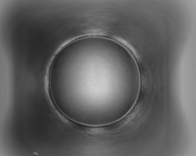 X0000102271383200807251341