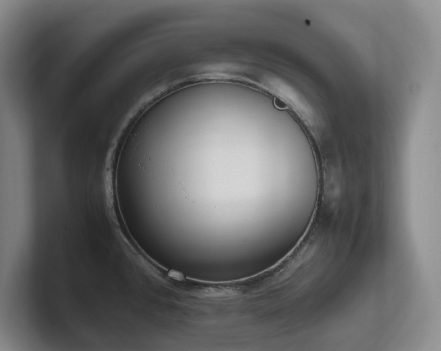 X0000102271384200807251341