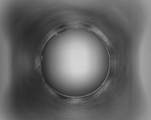 X0000102271385200807251341