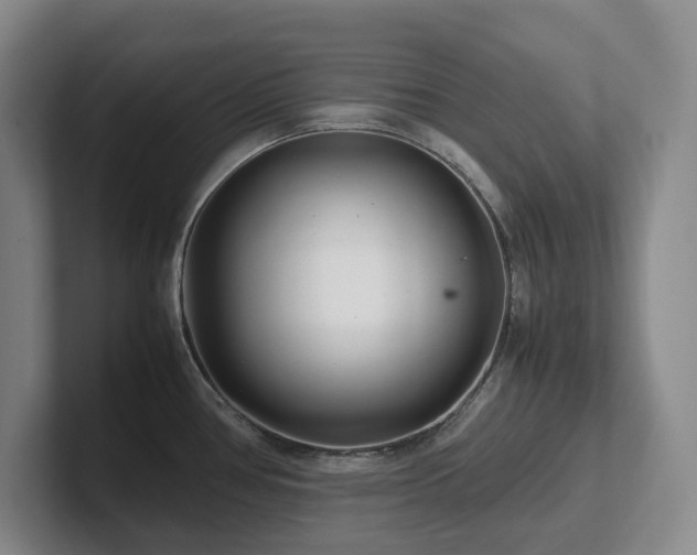 X0000102271386200807251341
