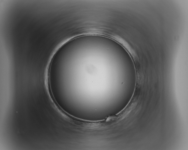 X0000102271387200807251340
