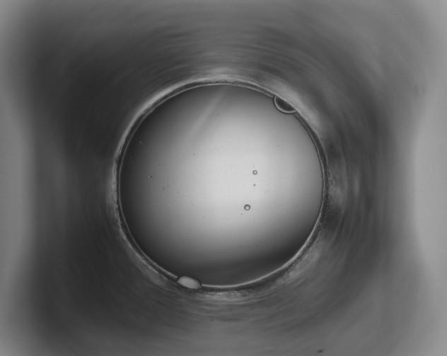 X0000102271388200807251340