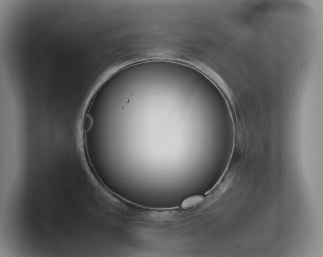 X0000102271389200807251340