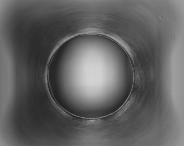 X0000102271390200807251340