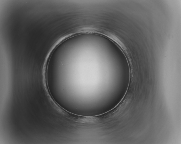 X0000102271392200807251340