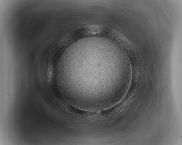 X0000102271394200807251340