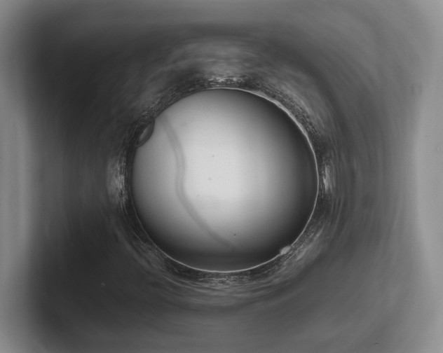 X0000102271396200807251340
