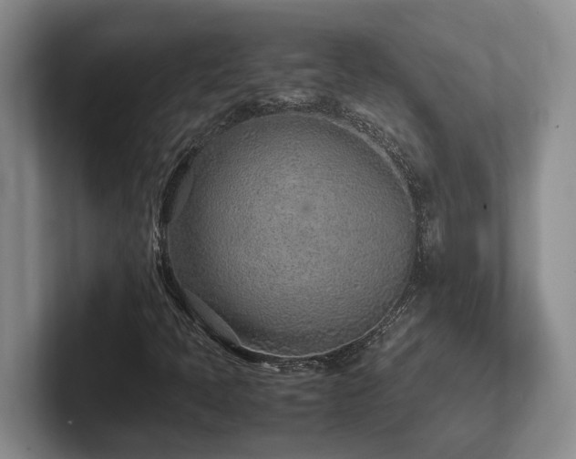 X0000102271397200807251340