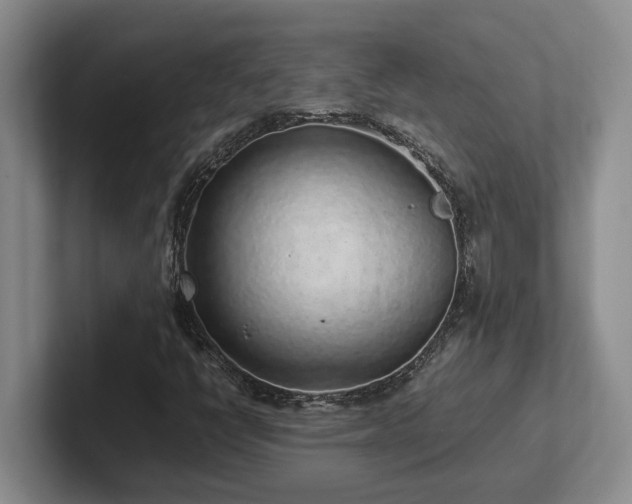 X0000102271398200807251340