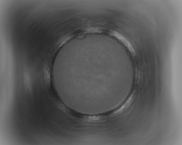 X0000102271401200807251340