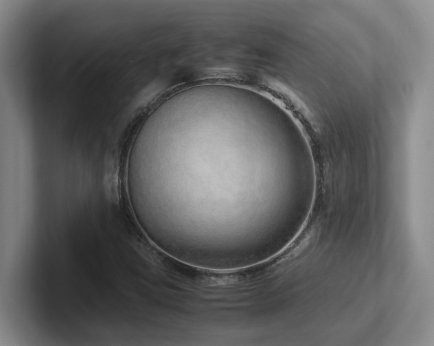 X0000102271403200807251340