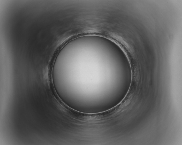 X0000102271404200807251340
