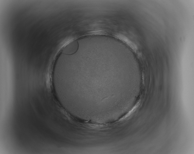 X0000102271405200807251340