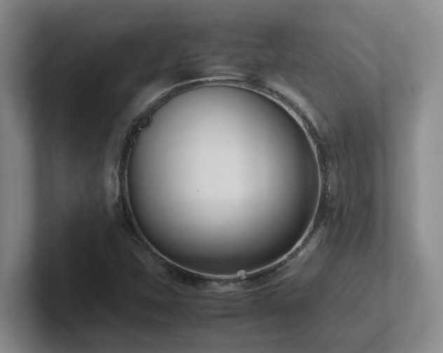 X0000102271407200807251340