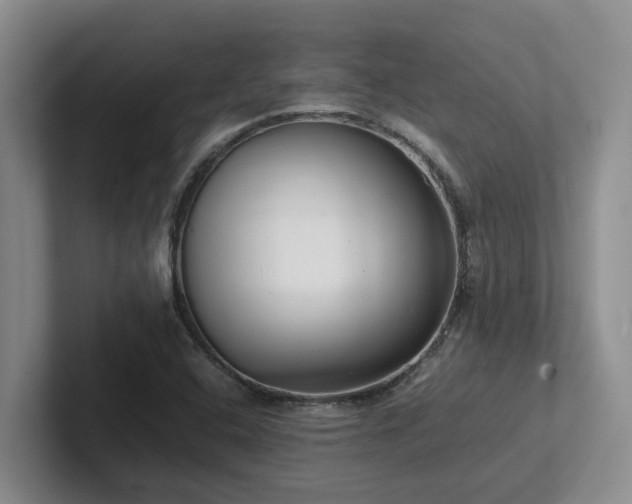 X0000102271408200807251340