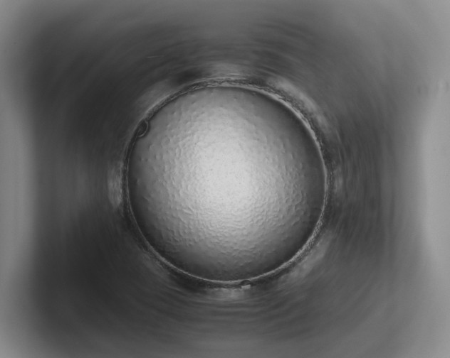 X0000102271409200807251340