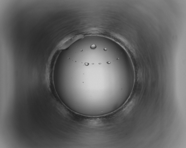 X0000102271410200807251340