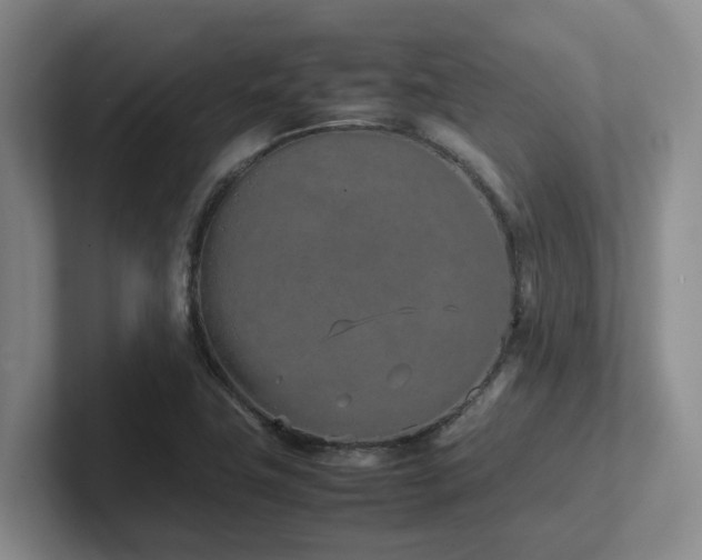 X0000102271411200807251340