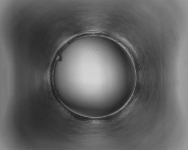 X0000102271412200807251340