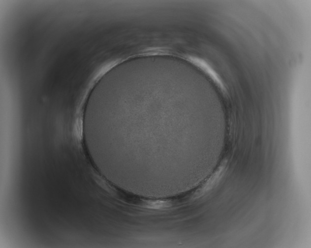 X0000102271413200807251340