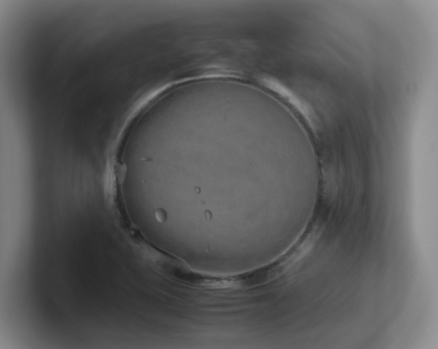 X0000102271415200807251340