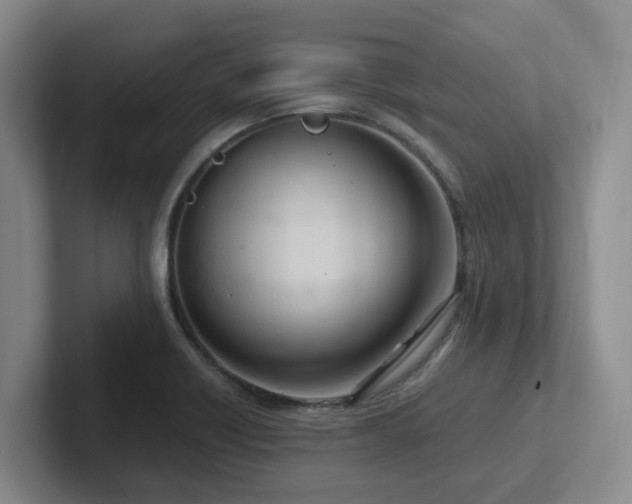 X0000102271418200807251340