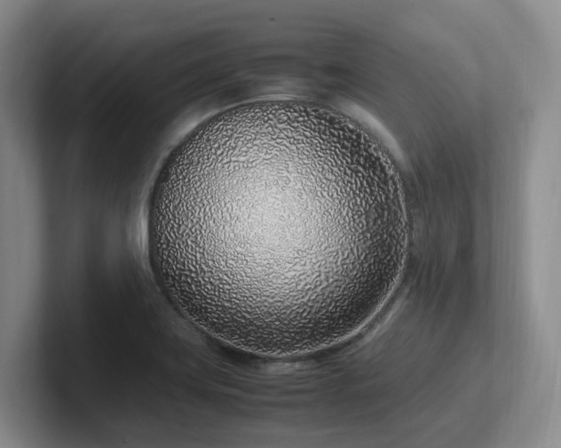 X0000102271419200807251340