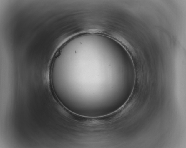 X0000102271420200807251340