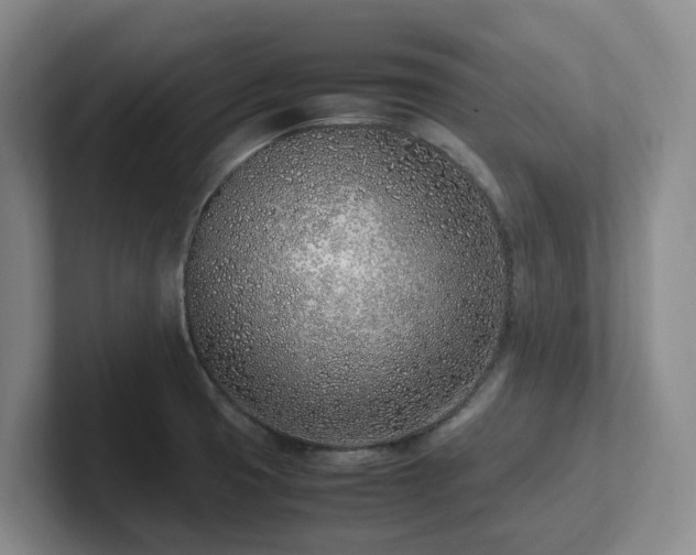 X0000102271425200807251340