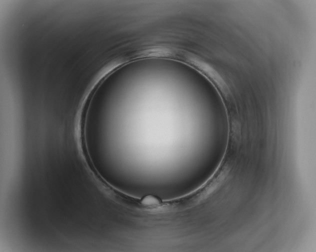 X0000102271426200807251340