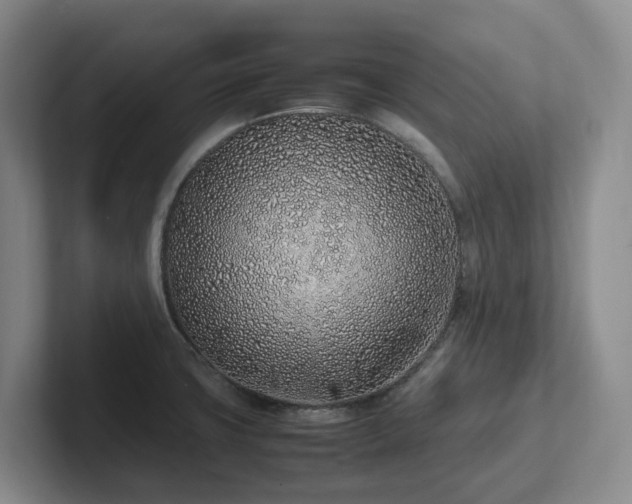 X0000102271427200807251340